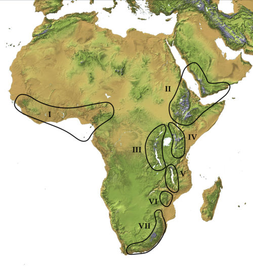 Eastern Afromontane